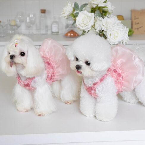 Small Dog Dresses Rose Flower Dog Cat Wedding Dress Puppy Tulle Dress Doggie Tutu Skirt Cat Outfit Pet Costume for Yorkie Teddy Chihuahua Clothes in Saudi Arabia