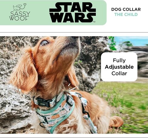 طوق الكلاب Star Wars ™ The Child - M ، قابلة للتعديل ، متينة ، مريحة وأنيقة للحيوانات الأليفة للكلاب الصغيرة in Kuwait
