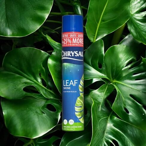 Chrysal Leafshine 25oz aerosol Bonus Size 25% More from Holland Formely Pokon/Item NO#I-86/Q-UI754383121 in Saudi Arabia