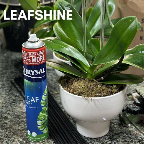 Chrysal Leafshine 25oz aerosol Bonus Size 25% More from Holland Formely Pokon/Item NO#I-86/Q-UI754383121 in Saudi Arabia