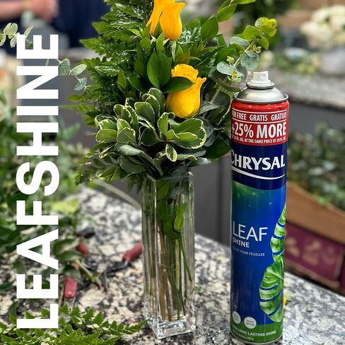 Chrysal Leafshine 25oz aerosol Bonus Size 25% More from Holland Formely Pokon/Item NO#I-86/Q-UI754383121 in Saudi Arabia