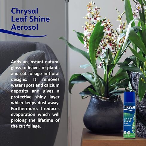Chrysal Leafshine 25oz aerosol Bonus Size 25% More from Holland Formely Pokon/Item NO#I-86/Q-UI754383121 in Saudi Arabia