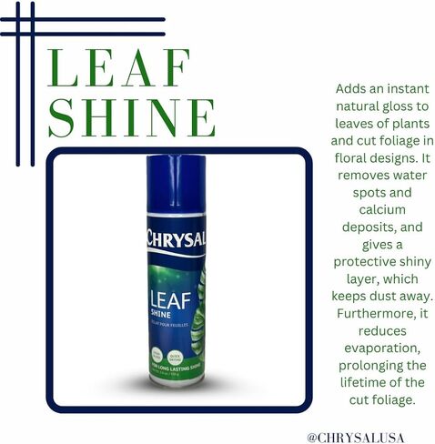 Chrysal Leafshine 25oz aerosol Bonus Size 25% More from Holland Formely Pokon/Item NO#I-86/Q-UI754383121 in Saudi Arabia
