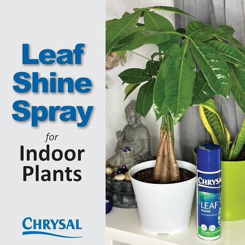 Chrysal Leafshine 25oz aerosol Bonus Size 25% More from Holland Formely Pokon/Item NO#I-86/Q-UI754383121 in Saudi Arabia