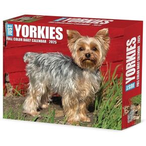 Willow Creek Press ، Just Yorkies 2025 Calendar