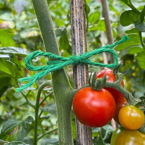 Tenn Well Jute Garden Twine ، 328 قدمًا 3 ملم من الطماطم الثقيلة ، وروابط نباتية خضراء للحدائق ، ونباتات التسلق ، والخضروات ، وصياغة in Kuwait