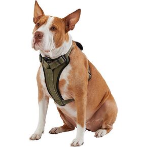 Kong Max Ultra Neoprene مبطنة صدر مبطنة لوحة الكلب التي تقدمها شركة Barker (Green ، كبيرة)