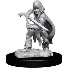 المنمنمات الرائعة لـ D & D Nolzur: Halfling Rogue Male