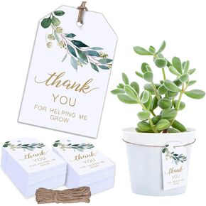 Whaline 100pcs شكرًا لك على مساعدتي في تنمية العلامات الورقية للألوان المائية الخضراء.