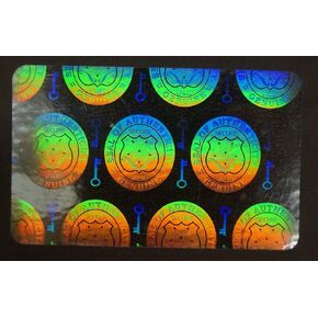 10 Hologram Vertical Shield and Key Self Stick ID Overlays, Thin .05 Mil