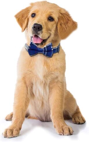 Yizepet Dog Collar with Bow Tie- Adjustable pet Collar for Dogs with Metal snap Fastener Collar, Stylish Pattern for Small Medium or Large Boy and Girl Dog and Cat in Kuwait