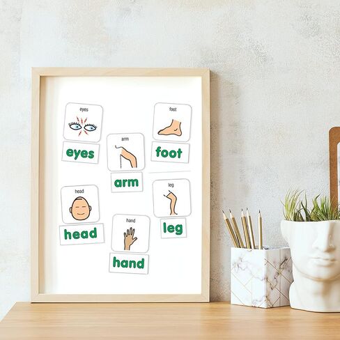 Barker Creek Learning Magnets ، للأطفال ، رمز اتصال الصور مغناطيس الأسماء عالية التردد والكلمات المصاحبة (3005) in Saudi Arabia