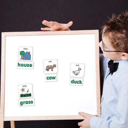 Barker Creek Learning Magnets ، للأطفال ، رمز اتصال الصور مغناطيس الأسماء عالية التردد والكلمات المصاحبة (3005) in Saudi Arabia