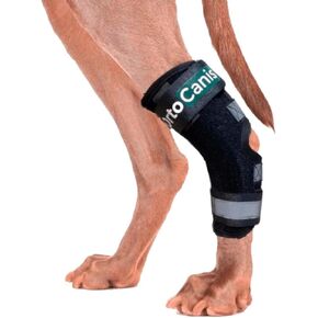 Ortocanis Hock Splint Brace للكلاب. يحمي. يدعم الكاحل - الجبائر المرنة القابلة للإزالة.