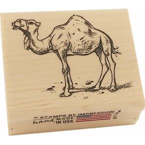 طوابع من طوابع المطاط بجمل الانطباع