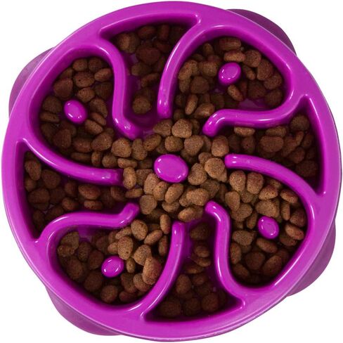 Outward Hound Fun Feeder Slo Bowl (Medium/Mini, Purple) and Outward Hound Nina Ottosson Dog Brick Interactive Treat Puzzle Dog Toy in Kuwait