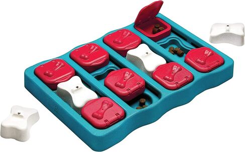 Outward Hound Fun Feeder Slo Bowl (Medium/Mini, Purple) and Outward Hound Nina Ottosson Dog Brick Interactive Treat Puzzle Dog Toy in Kuwait