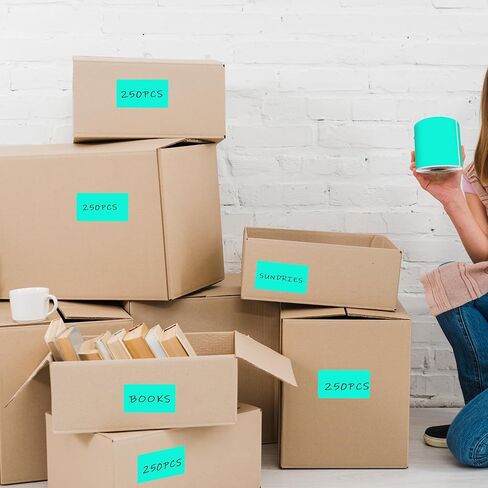 3 x 5 Inch 250Pcs Rectangle Color Coding Stickers,Strong Adhesion Easy to Write Label for Moving,Box Organization,Inventory,Business,Fluorescent Pink in Kuwait