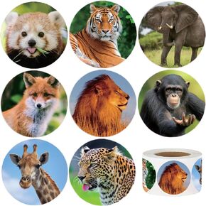 600 PCS Zoo Animals ملصقات للأطفال ، ملصقات حيوانات غابة جولة 1.5 بوصة للفتيان.