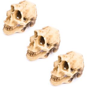 Leadigol 3pcs Aquarium Skull reptile House Decin راتنج رأس الهيكل العظمي الزخرفة المائية.