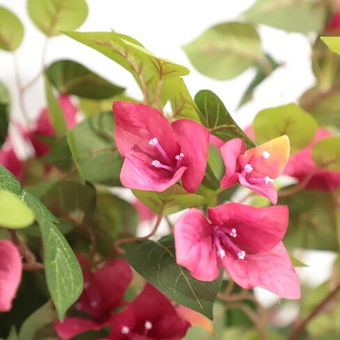 شجرة الجهنمية الاصطناعية بطول 5 أقدام مع الزهور، وأشجار الجهنمية الطويلة المزيفة، وشجرة مزهرة صناعية في وعاء بلاستيكي لديكور الشرفة الأمامية الداخلية أو مكتب المنزل في الهواء الطلق، قطعة واحدة (59 بوصة) in Kuwait