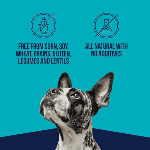 Stewart Freeze Dried Dog Treats, Chicken Breast, 2.5 oz, Grain Free & Gluten Free, Resealable Pouch, Single Ingredient, Training Treat in Saudi Arabia