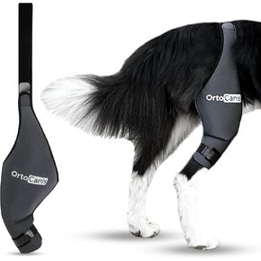 ortocanis dog الركبة الدعامة لمزج الساق الخلفية ACL ، إصابات الرباط الصليبي ، خلع الرضفة أو هشاشة العظام - الدعامة الكلب ACL الركبة - أقواس الكلاب لخلف الساق للدعم (Mini ، الساق اليمنى)