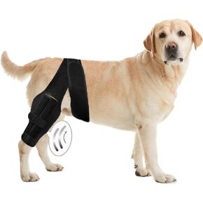 M Dog Knee Brace لـ ACL Hind Leg الممزقة للحصول على الدعم مع إصابة الرباط الصليبي ، والشفاء بشكل أفضل مع أقواس الساق الكلاب للساق الخلفية