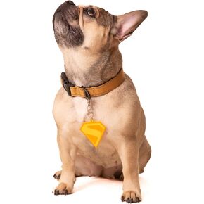ComfyCamper Gold S Silicone Dog Tag - XS Small Large XXL Cats Cosplay Twist
