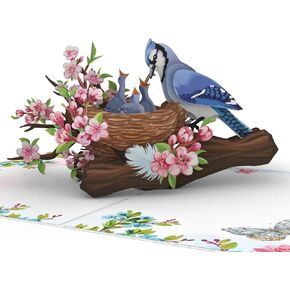 Bluejay Bird Prope Mothers Card ، بطاقات عيد الأم 6 × 8 بوصة للأم ، ابنة ، جدة ، أخت ، زوجة ، بطاقة عيد الأم من الابن ، بطاقات عيد ميلاد منبثقة للنساء.