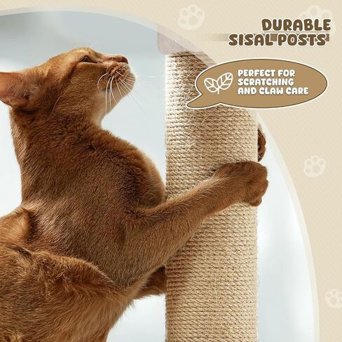 Magshion Cat Tree 55 "Tower Cats للقطط الداخلية ، شقة Cat متعددة المستويات مع منشور الخدش ، أعلى جثم ، لوحة سيسال ، كرة متدلية ، منصة القفزات القطط للقطط القطط (Beige) in Kuwait