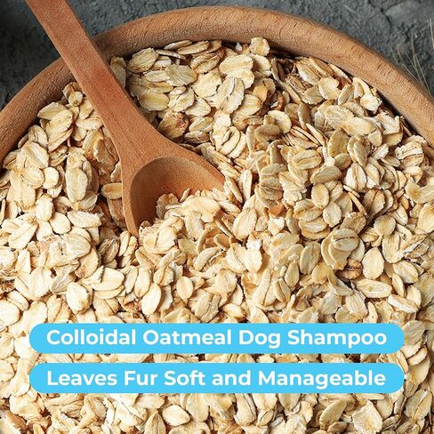 Pawtitas Dog Shampoo and Conditioner All Natural and Hypoallergenic Shampoo for Puppy Made with Certified Organic Natural Herbs Dog Conditioner - 16 Oz Dog Shampoo Made with Eucalyptus & Spearmint in Saudi Arabia