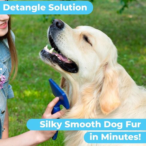 Pawtitas Dog Shampoo and Conditioner All Natural and Hypoallergenic Shampoo for Puppy Made with Certified Organic Natural Herbs Dog Conditioner - 16 Oz Dog Shampoo Made with Eucalyptus & Spearmint in Saudi Arabia