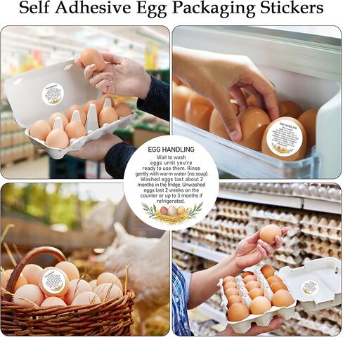Louise Maelys 2" Egg Stickers for Fresh Farm Eggs - 500pcs Market Egg Handling Stickers Unwashed Egg Sticker Labels for Chicken Quail Farmhouse in Kuwait