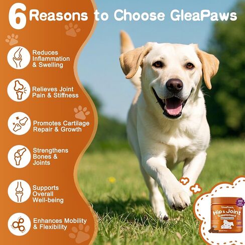 Hip & Joint Supplement Chews for Dogs - Glucosamine, Chondroitin, MSM for Dog Joint Collagen - Joint Pain Relief & Mobility Support for Senior, Large & Small Dogs - 100 Treats Chicken Flavor in Saudi Arabia