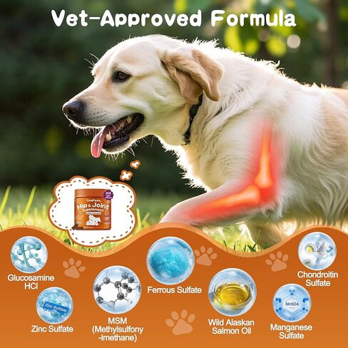 Hip & Joint Supplement Chews for Dogs - Glucosamine, Chondroitin, MSM for Dog Joint Collagen - Joint Pain Relief & Mobility Support for Senior, Large & Small Dogs - 100 Treats Chicken Flavor in Saudi Arabia