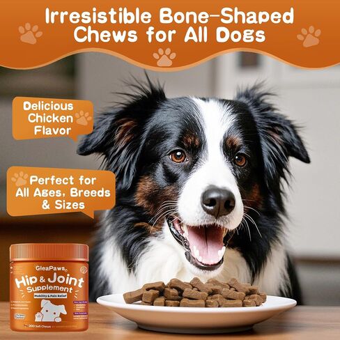 Hip & Joint Supplement Chews for Dogs - Glucosamine, Chondroitin, MSM for Dog Joint Collagen - Joint Pain Relief & Mobility Support for Senior, Large & Small Dogs - 100 Treats Chicken Flavor in Saudi Arabia