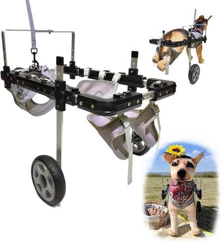 Dog Wheelchair for Front/Back Legs,Lightweight Aluminum Frame with Handle,Extended Leg Straps,Fits Pugs,French Bulldogs, Schnauzers (M) /Dachshund,Corgi,and West Highland White Terrier (L) in Saudi Arabia