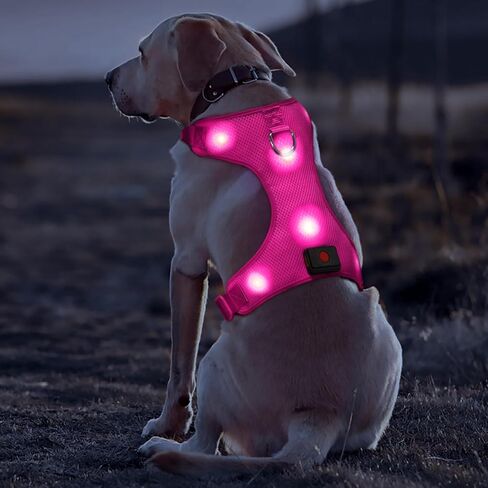 Safety LED Dog Harness - Light Up Dog Vest, No-Pull Dog Harness - Rechargeable Glowing Pet Harness for Night Walking & Camping (Red, S [Neck:12"-16.5"; Chest:17"- 25"]) in Kuwait