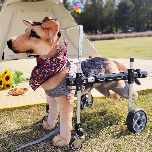 Dog Wheelchair for Front/Back Legs,Lightweight Aluminum Frame with Handle,Extended Leg Straps,Fits Pugs,French Bulldogs, Schnauzers (M) /Dachshund,Corgi,and West Highland White Terrier (L) in Saudi Arabia