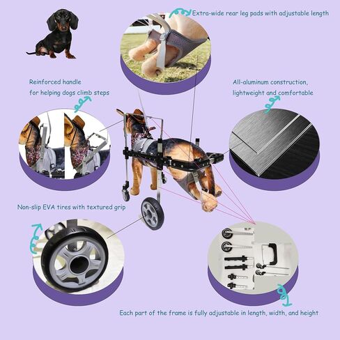 Dog Wheelchair for Front/Back Legs,Lightweight Aluminum Frame with Handle,Extended Leg Straps,Fits Pugs,French Bulldogs, Schnauzers (M) /Dachshund,Corgi,and West Highland White Terrier (L) in Saudi Arabia