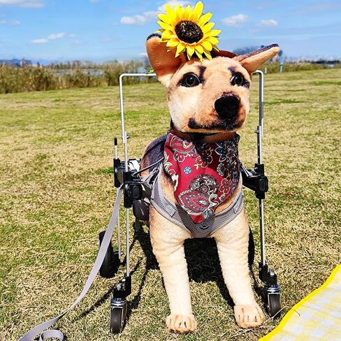 Dog Wheelchair for Front/Back Legs,Lightweight Aluminum Frame with Handle,Extended Leg Straps,Fits Pugs,French Bulldogs, Schnauzers (M) /Dachshund,Corgi,and West Highland White Terrier (L) in Saudi Arabia
