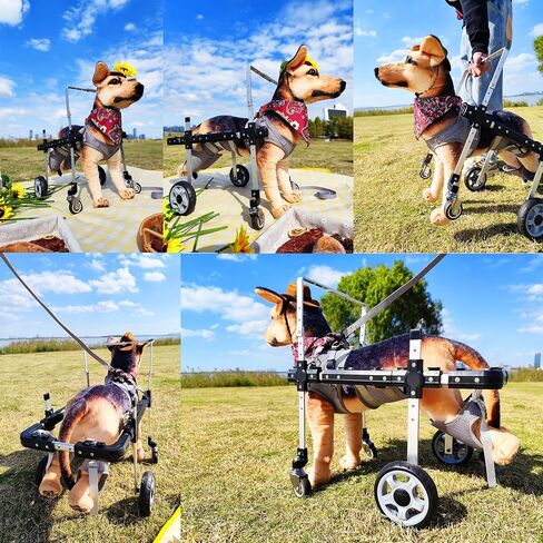 Dog Wheelchair for Front/Back Legs,Lightweight Aluminum Frame with Handle,Extended Leg Straps,Fits Pugs,French Bulldogs, Schnauzers (M) /Dachshund,Corgi,and West Highland White Terrier (L) in Saudi Arabia