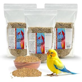 الصباح البذور الطيور الطيور الأرز من أجل الصحة الأمثل للصحة والطيور الأليفة الغذائية - يدعم الريش والمناعة - مثالية لجميع الطيور التي تتناول البذور. 4.5 رطل (3 حزم ، 1.5 رطل لكل منهما)