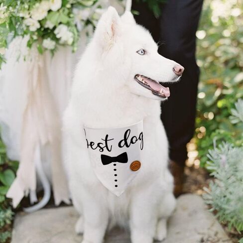 CROWNED BEAUTY Wedding Best Dog Bandanas Reversible 2 Pack, Dog of Honor Engagement Adjustable Triangle Scarves for Medium Large Extra Large Dogs Black White DB48-L in Saudi Arabia