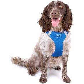 Doggie Design American River Solid Ultra خالية من الاختناق ، كوبالت الأزرق (X-Large)