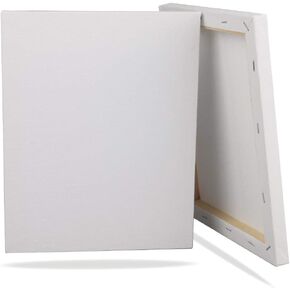 PMLAND BULK PACK من 12 لوحات من القماش للطلاء (الأكريليك أو الزيت) ، العمل الفني ، الصياغة - 8 × 10 بوصة