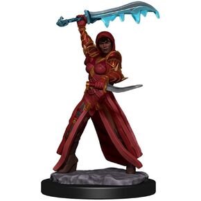 أيقونات Wizkids D&D من العوالم المتميزة: الأنثى المارقة البشرية