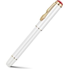 Jinhao 025 Metal Fountain Pen Retro Snake Clip Fine Nib Writing Crinting Pen مع محول الحبر ومجموعة مربع الفضة (أذكياء أبيض)