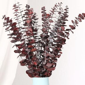 20 PCS Dried Eucalyptus Stems, 17'' Natural Real Live Red Eucalyptus Leaves Branches Hanging Shower, Preserved Fresh Eucalyptus Plant for SPA Home Fragrance Bathroom Table Vase Decor